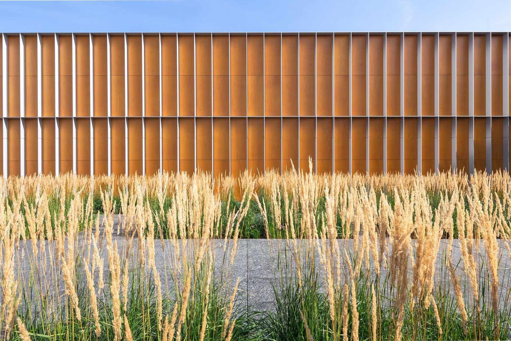 Prodema Pale wood cladding in the University of Sydney Faculty of Law by FJMT