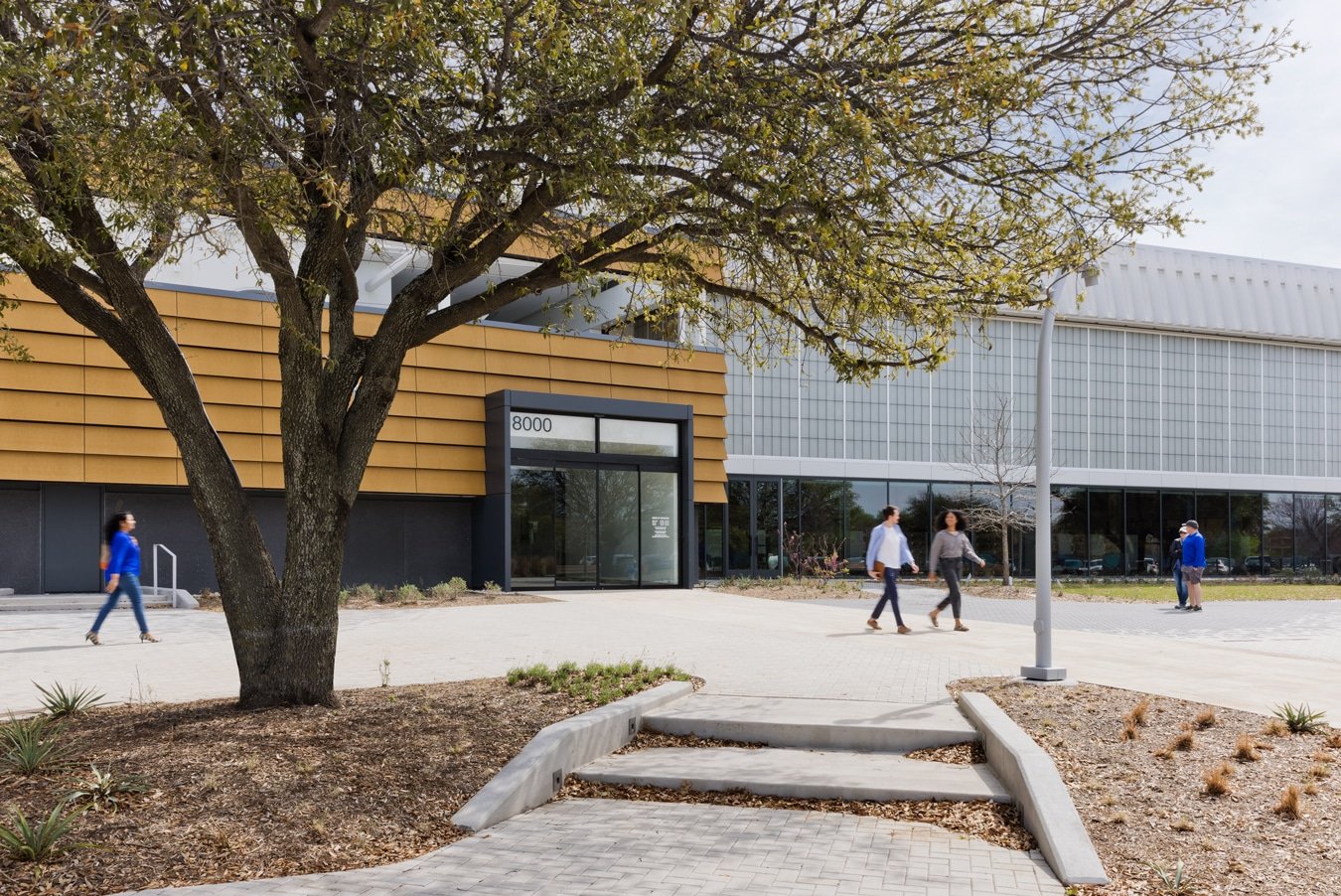 HIPDL FriscoPublicLibrary Exterior Zhou 10