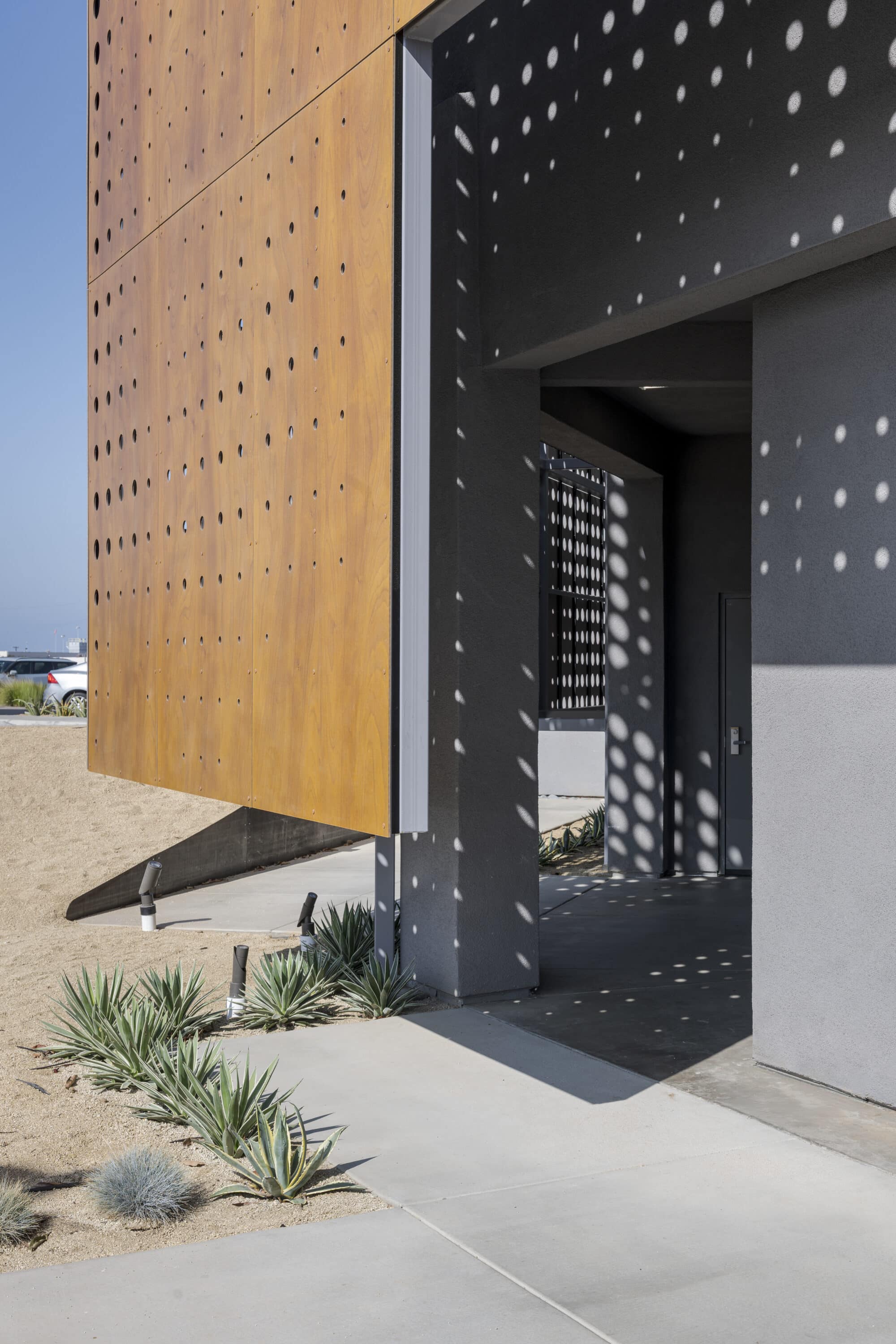 Sessions by the Bay PARKLEX PRODEMA USA IANPATZKEPHOTOGRAPHY 3