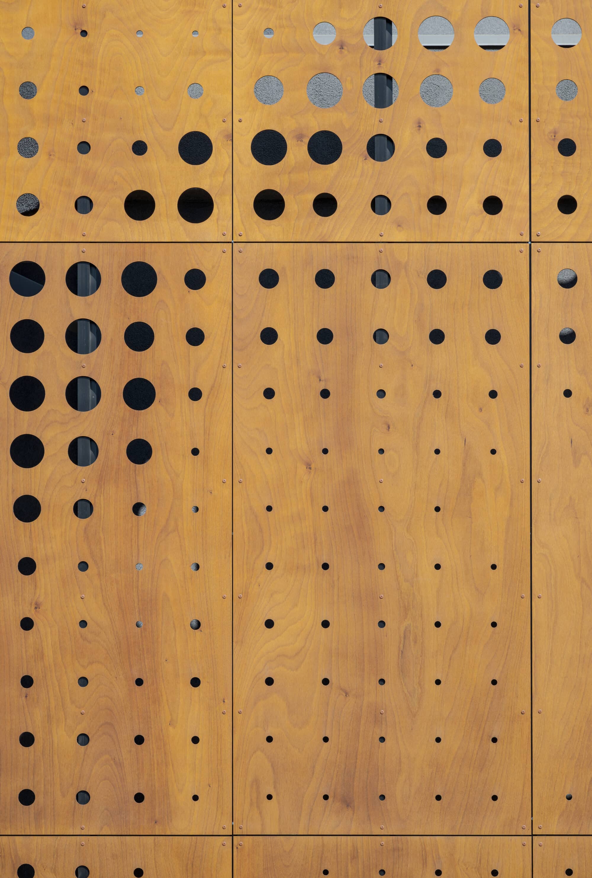 Sessions by the Bay PARKLEX PRODEMA USA IANPATZKEPHOTOGRAPHY 5