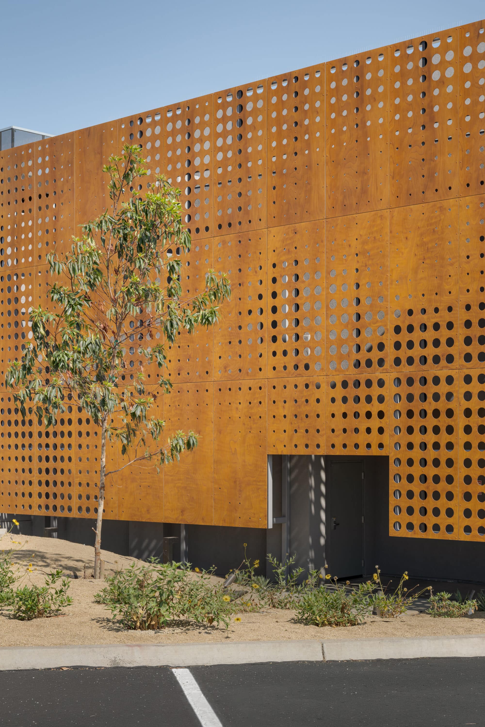 Sessions by the Bay PARKLEX PRODEMA USA IANPATZKEPHOTOGRAPHY 6